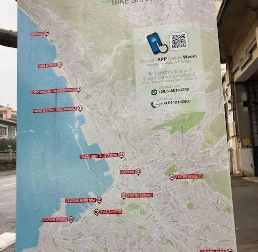 Windows On The Garden *